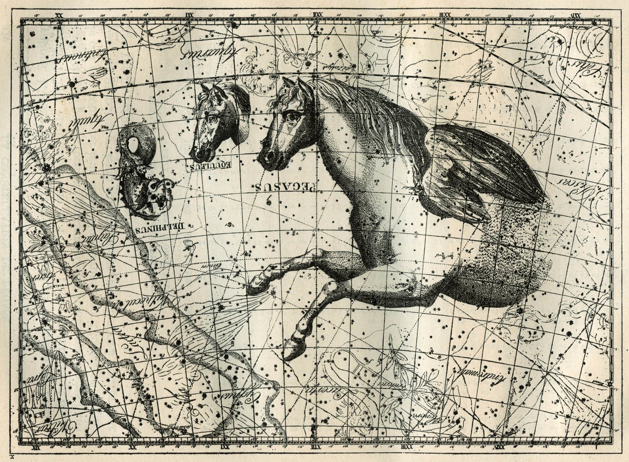 La constellation de Pégase, dessinée comme la moitié antérieure d
