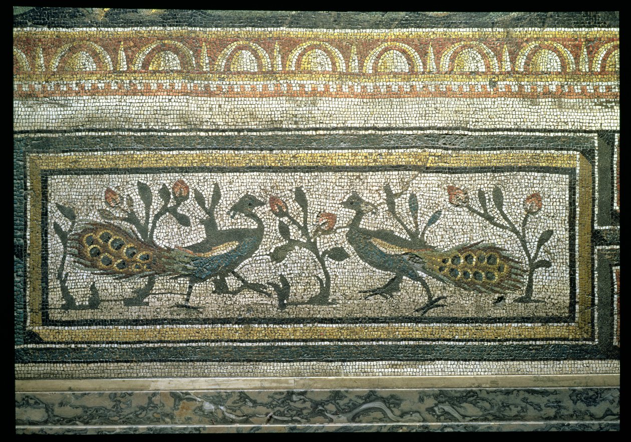 Deux paons, détail de la bordure décorative d