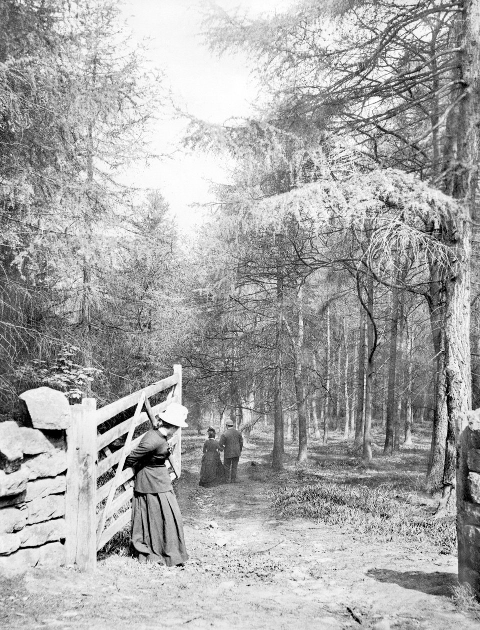 Royaume-Uni : Eaton Woods, vers 1890 - Unbekannt