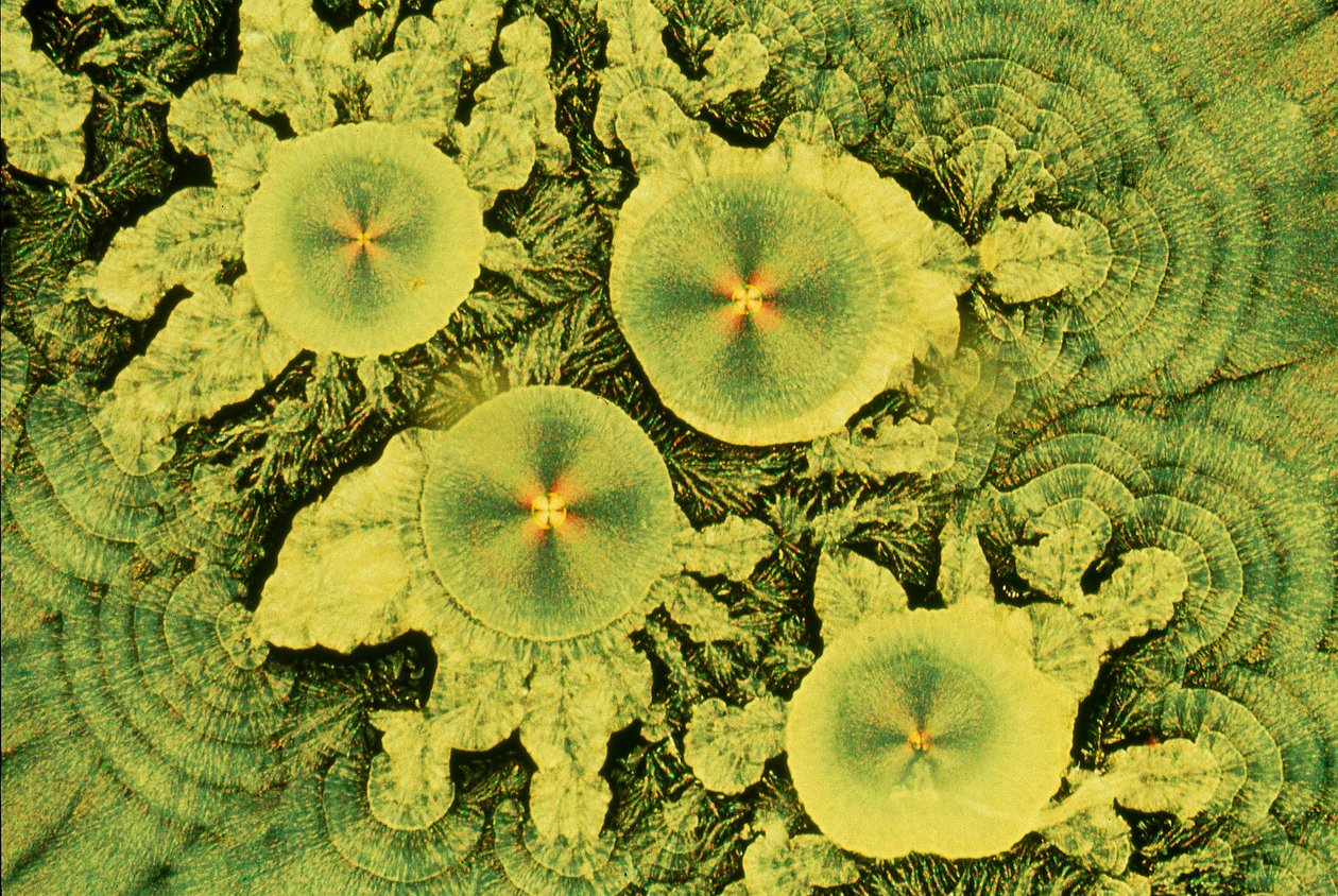 Vitamines, LM Mélange d