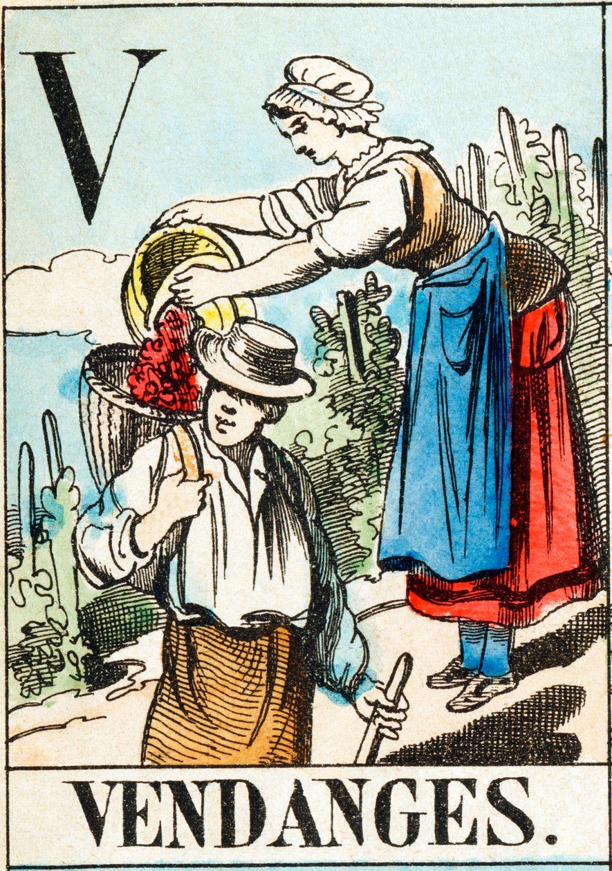 V Vendanges - « Alphabet de la ferme » fin du XIXe siècle (gravure) - Unbekannt