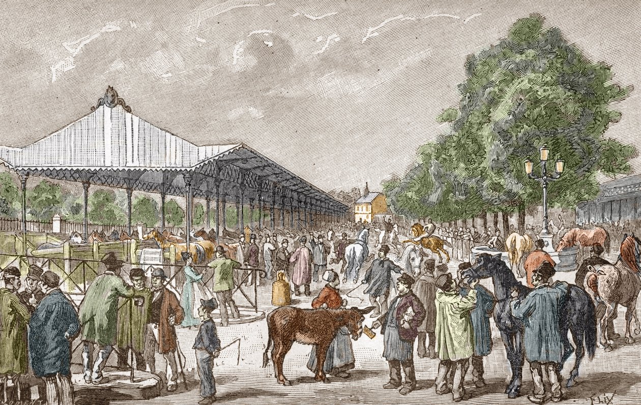Vue du marché aux chevaux dans le 5e arrondissement de Paris. Gravure de Les stages d