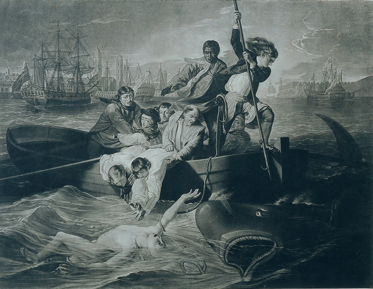 Watson et le requin - Unbekannter Künstler