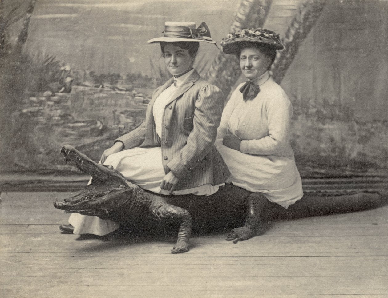 Femmes assises sur un alligator empaillé, vers 1905 - Unbekannter Künstler