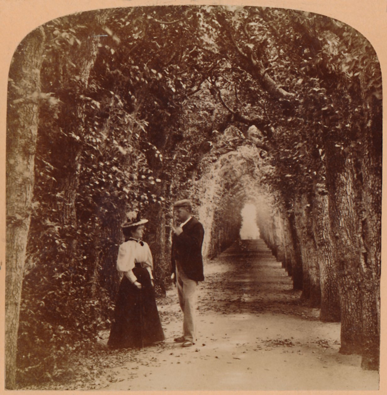 La tonnelle de la reine Mary, Hampton Court, Londres, Angleterre - Underwood and Underwood