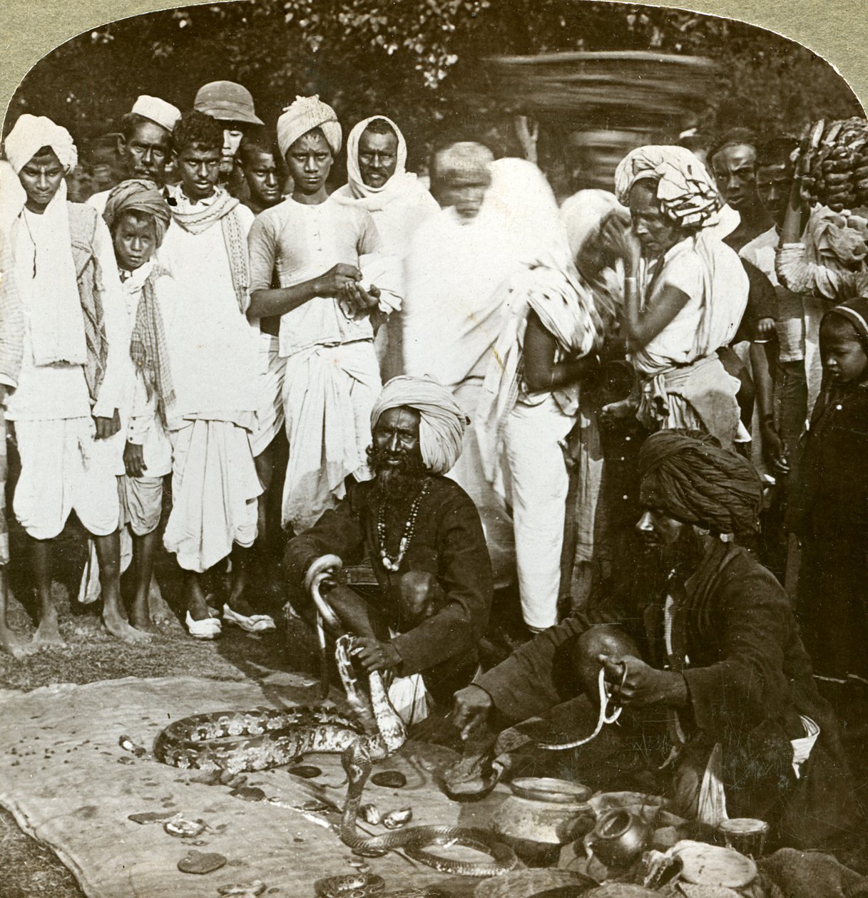 Charmeur de serpents, Calcutta, Inde, vers 1900 - Underwood and Underwood