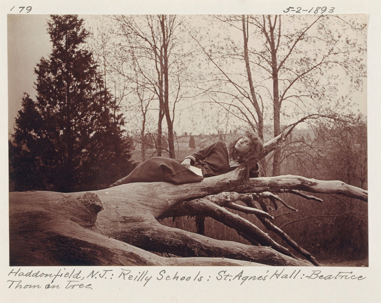 [Beatrice Thom sur un arbre, Haddonfield, New Jersey] - Unidentified