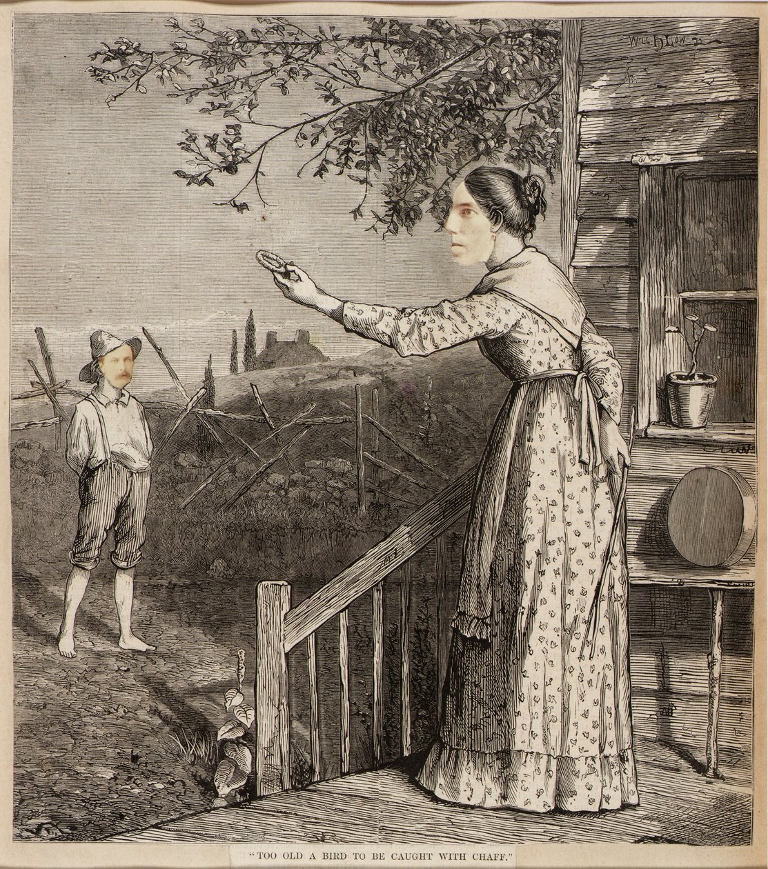 Un oiseau trop vieux pour être pris avec des paillettes - Unidentified