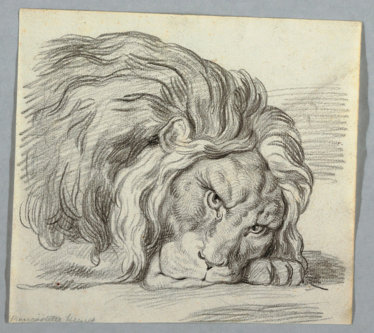 Dessin, étude d