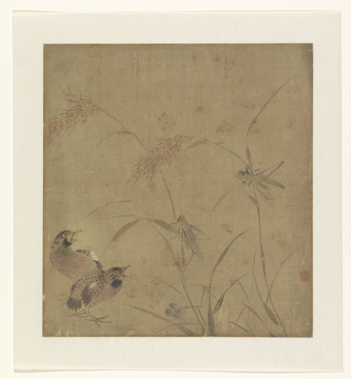Feuille d