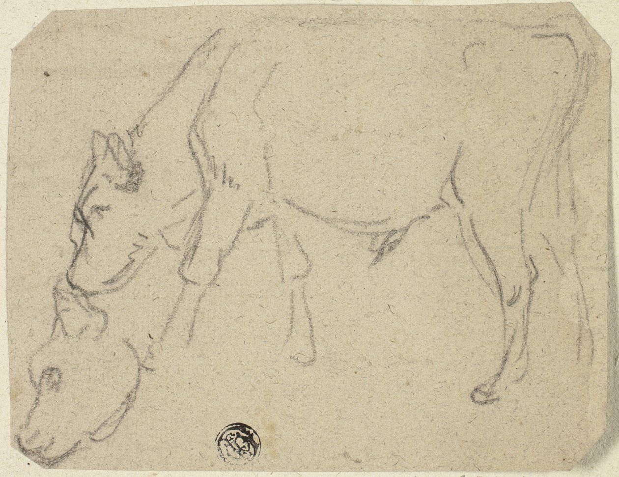 Croquis d