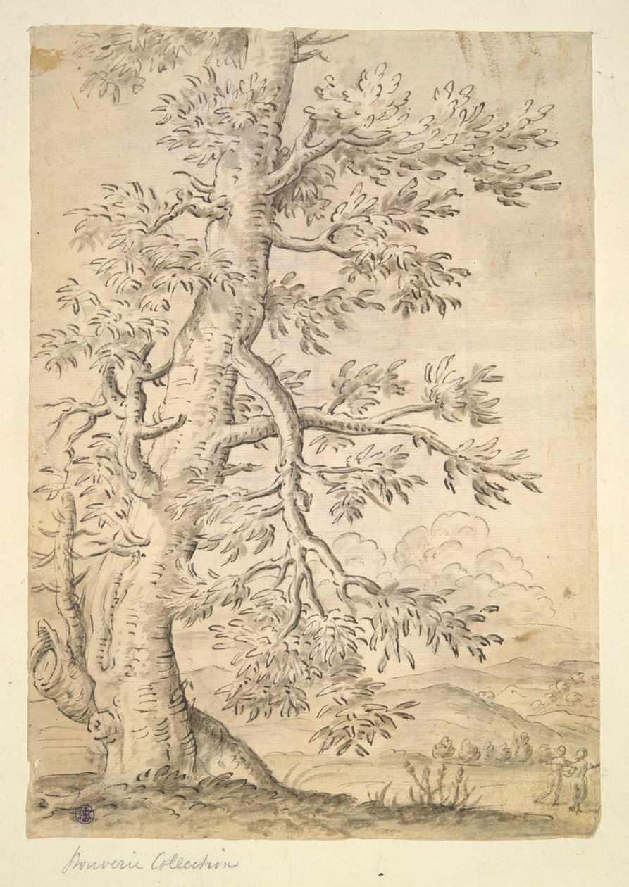 Arbre - Unknown
