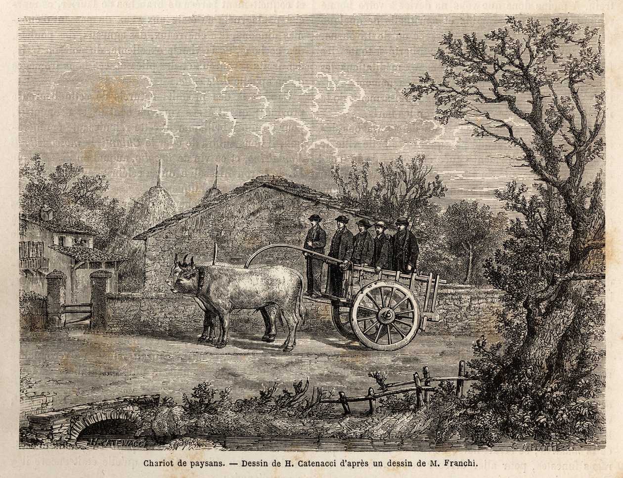 Un chariot siennois de paysans, à deux roues, pour le transport de tonneaux de vin, tiré par un couple de petits bœufs blancs. Gravure pour illustrer un voyage à Sienne (Italie) en 1865, dans « Le tour du monde, nouveau journal des voyages » publié sous la - Unknown artist