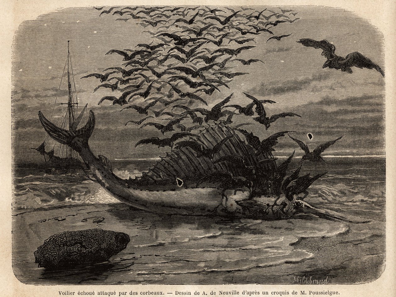Un voilier cosmopolite attaqué par des corbeaux - Unknown artist