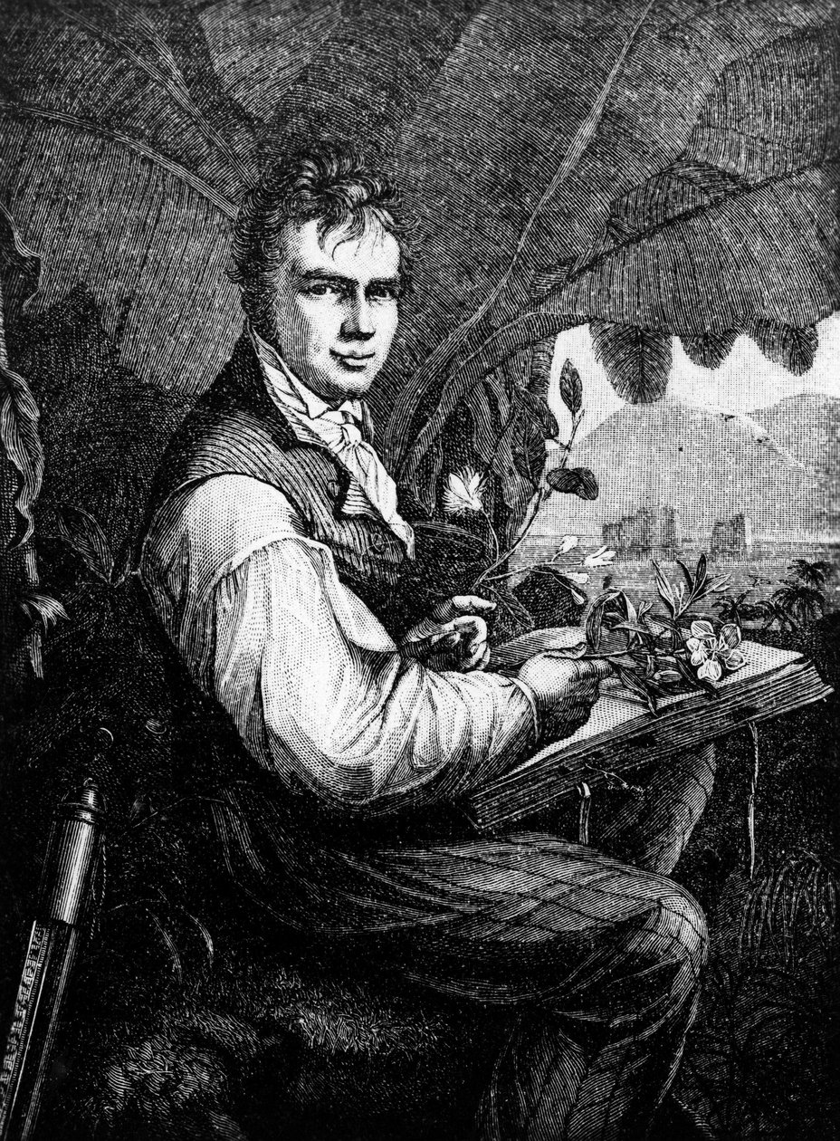 Alexander Von Humboldt (Alexander de Humboldt) - Unknown artist