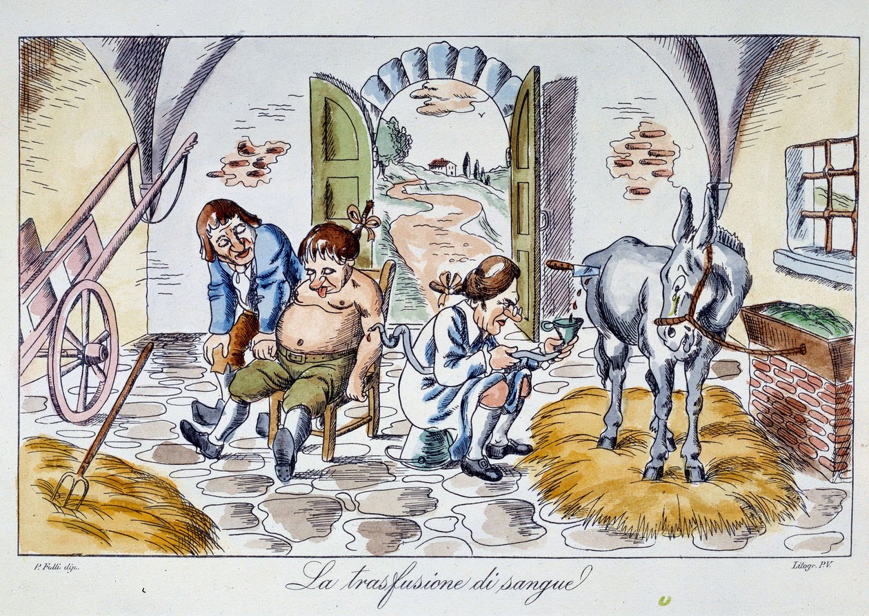 Transfusion sanguine. Un médecin injecte du sang de cheval à un patient. Caricature du XIXe siècle - Unknown artist