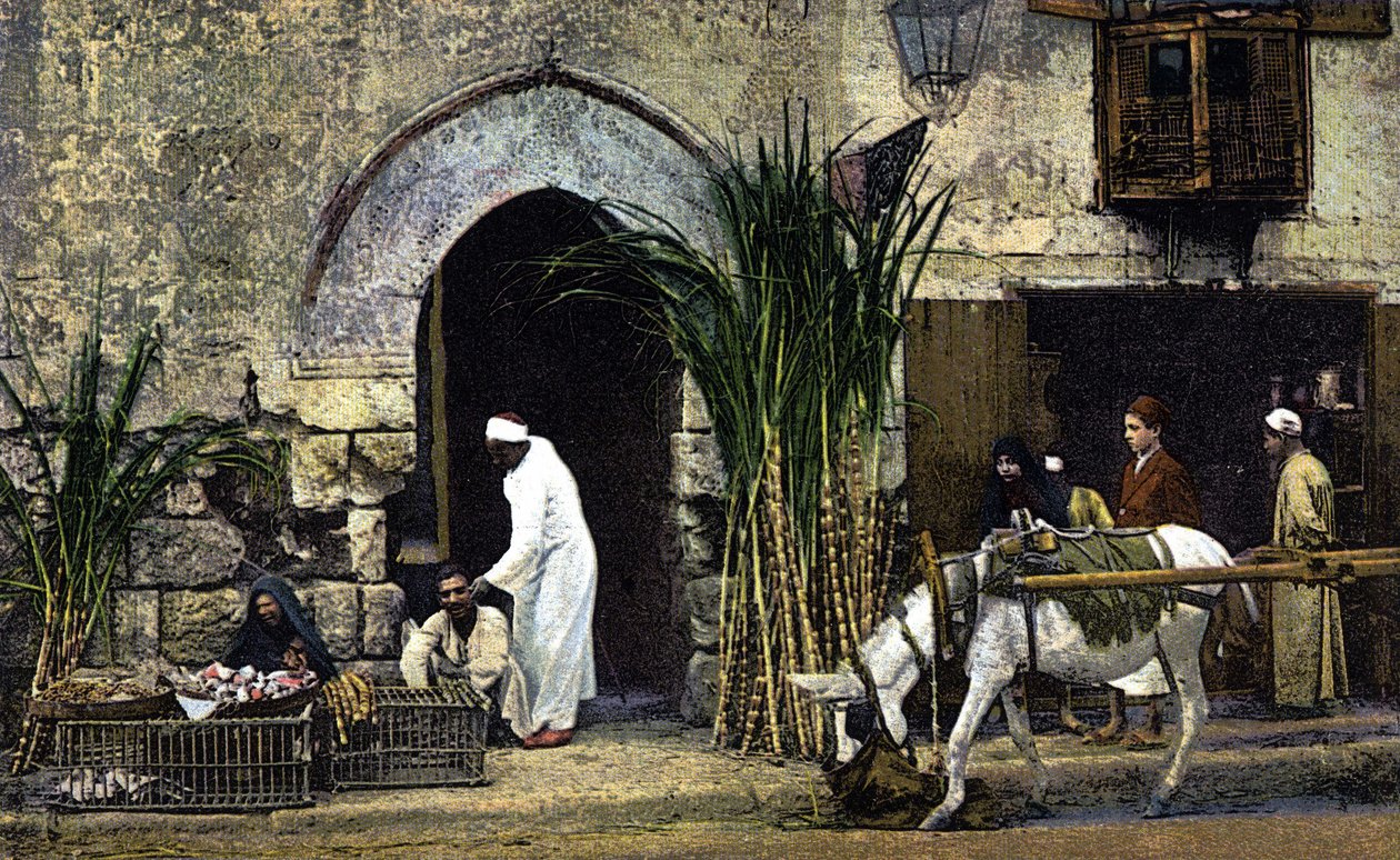 Vendeurs de sucre de canne. Le Caire. Égypte. Carte postale du début du 20e siècle. - Unknown Artist