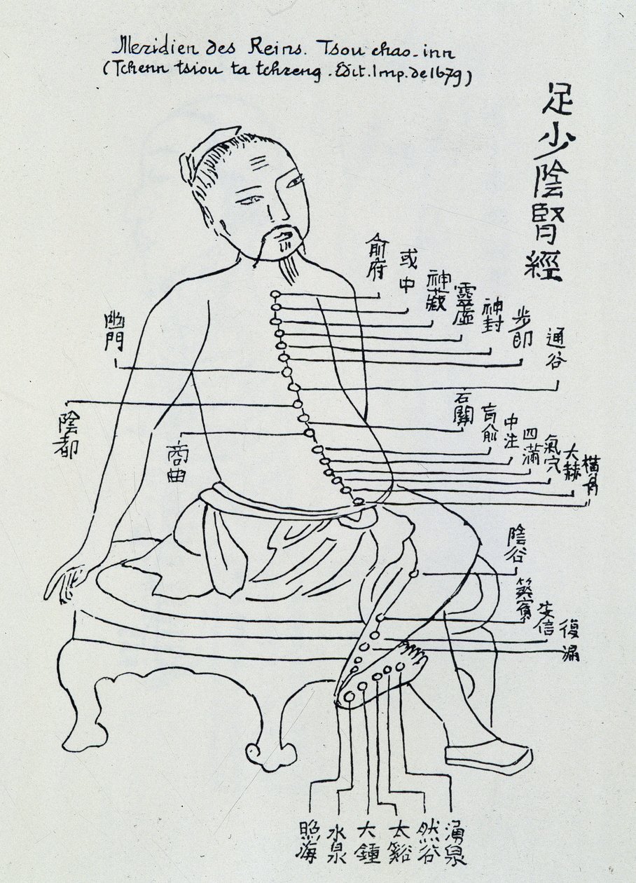Acupuncture chinoise : le méridien des reins - Unknown artist