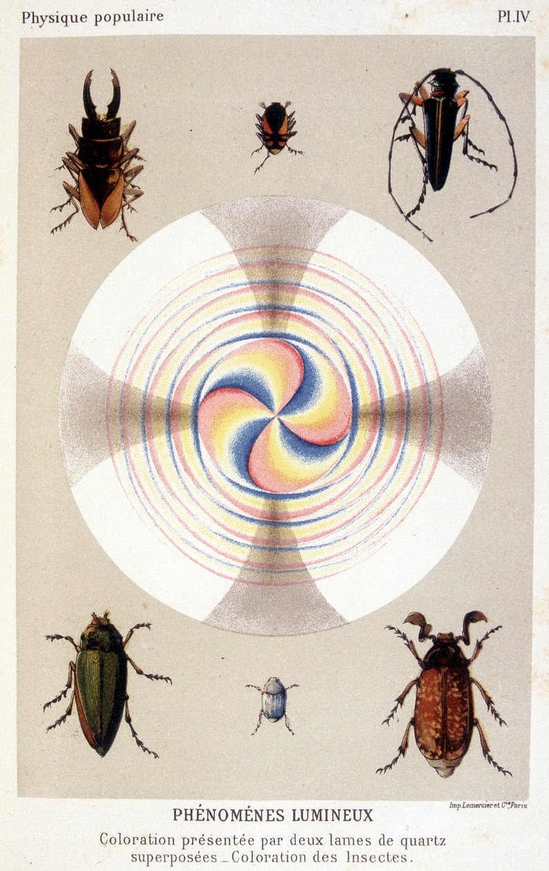 Coloration présentée par deux lames de quartz superposées, coloration des insectes - dans « La physique populaire » par Émile Desbeaux - Unknown artist