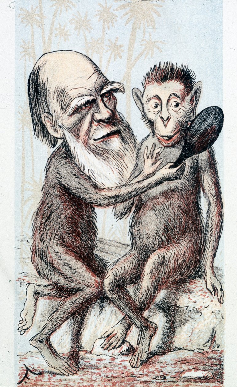 Dessin humoristique sur la théorie de Darwin - dans London Sketchbook - Unknown artist