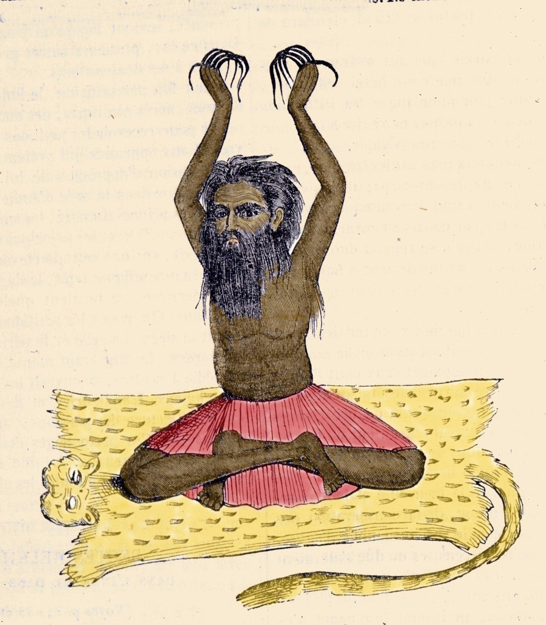 Culture, civilisation et société indienne : Portrait d