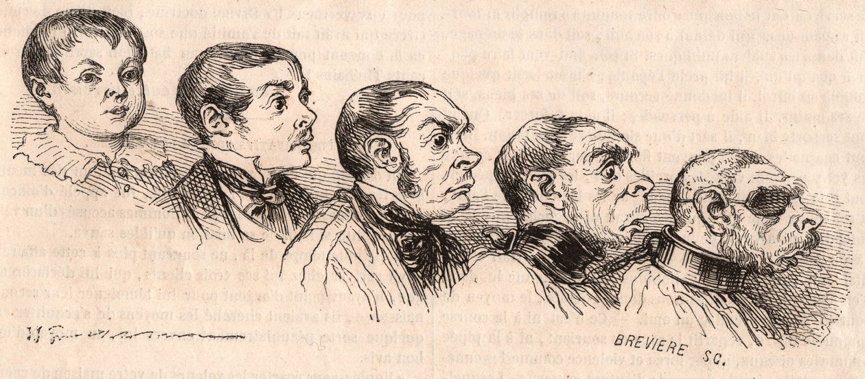 Évolution d