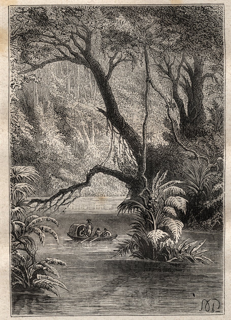 Expédition en Amérique (1799-1804) par Alexander von Humboldt (1769-1859) et Aimé Bonpland (1773-1858) : les explorateurs descendent l