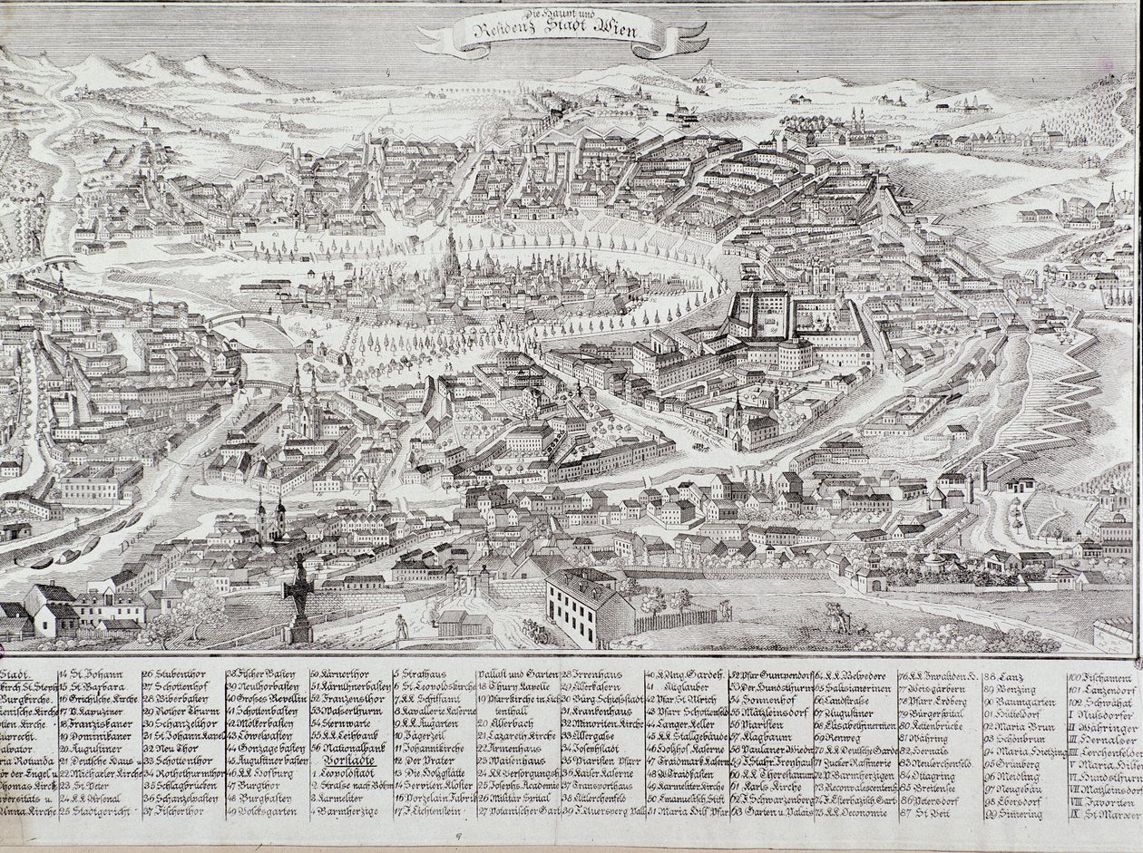Vue générale de la ville de Vienne avec détail des principaux bâtiments et monuments. Autriche Gravure de 1800 Collection privée - Unknown artist