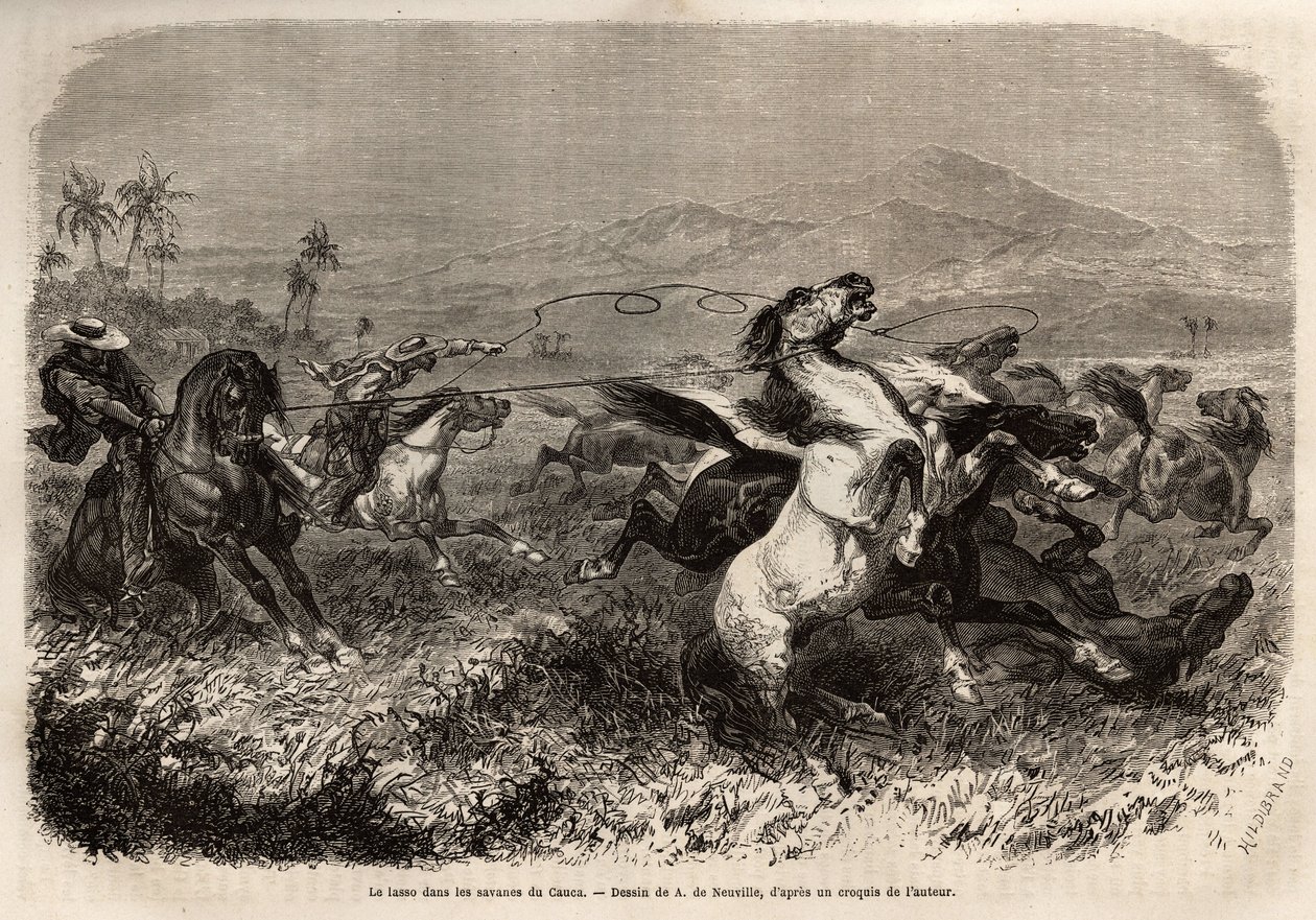 Troupeaux de mules et de chevaux errant en liberté dans les plaines de Cauca (Colombie), les éleveurs se regroupent pour attraper les bêtes avec un lasso (ou zoga, longue corde en cuir). Gravure pour illustrer le voyage en Nouvelle-Grenade, par le Dr. Saff - Unknown artist