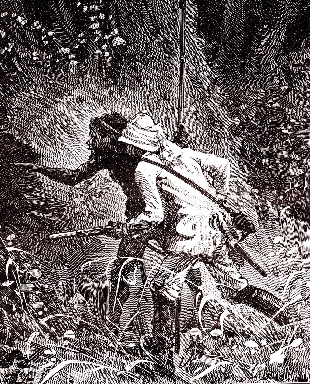 Dans les champs de caoutchouc (Hevea) dans la jungle de Guyane - Unknown artist