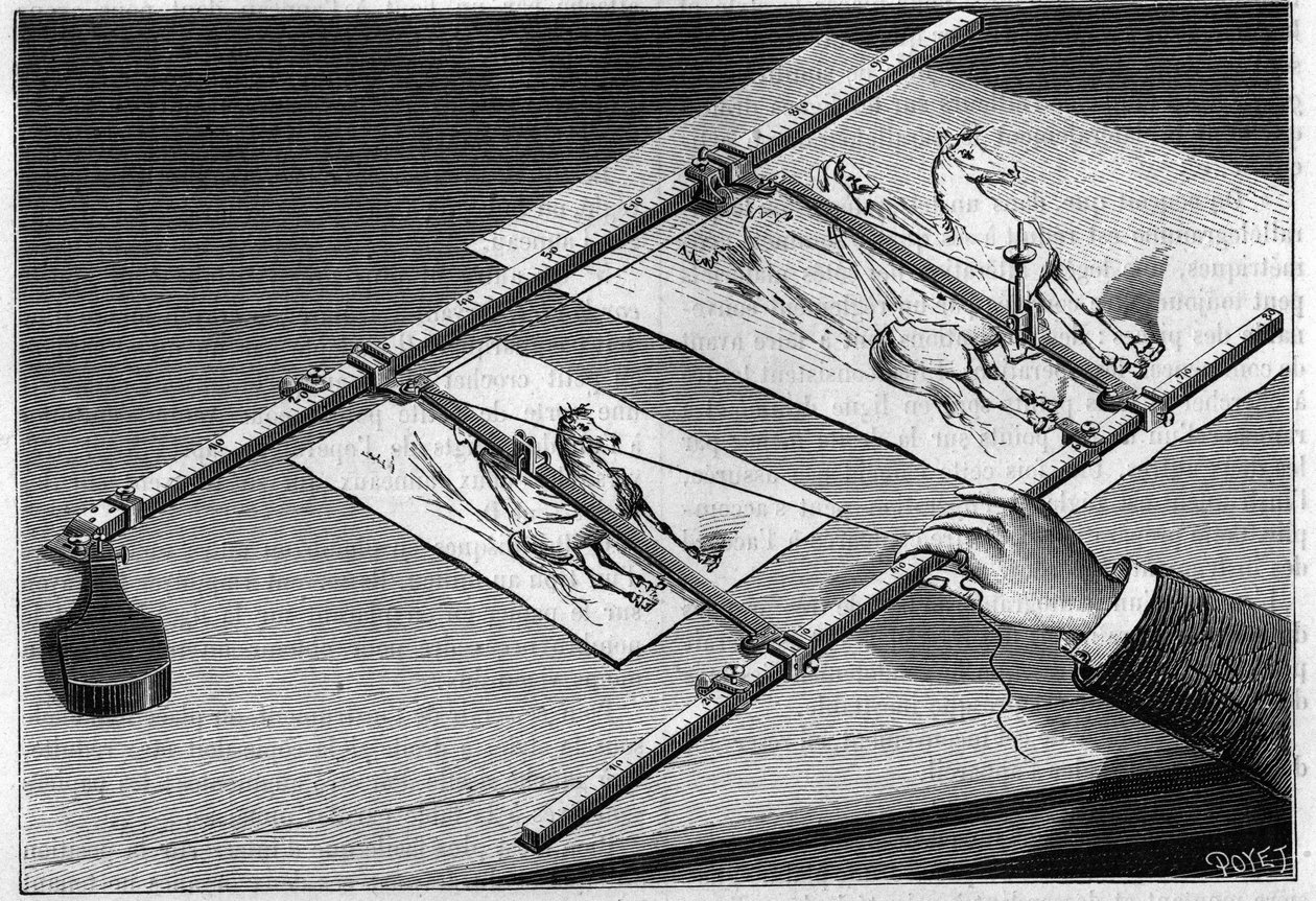 Instructions pour l