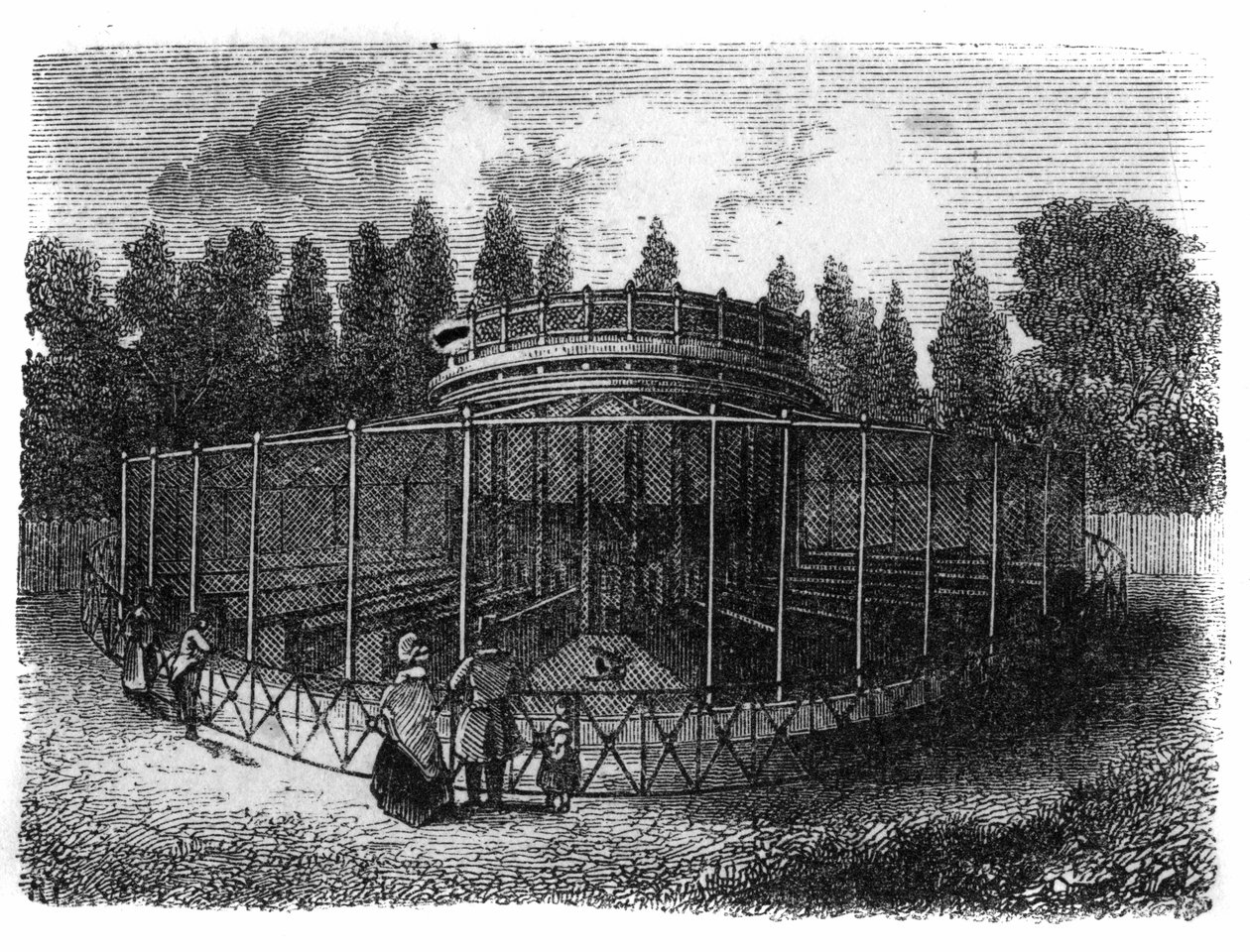 Jardin des Plantes à Paris en 1861 : faisanderie. - Unknown artist