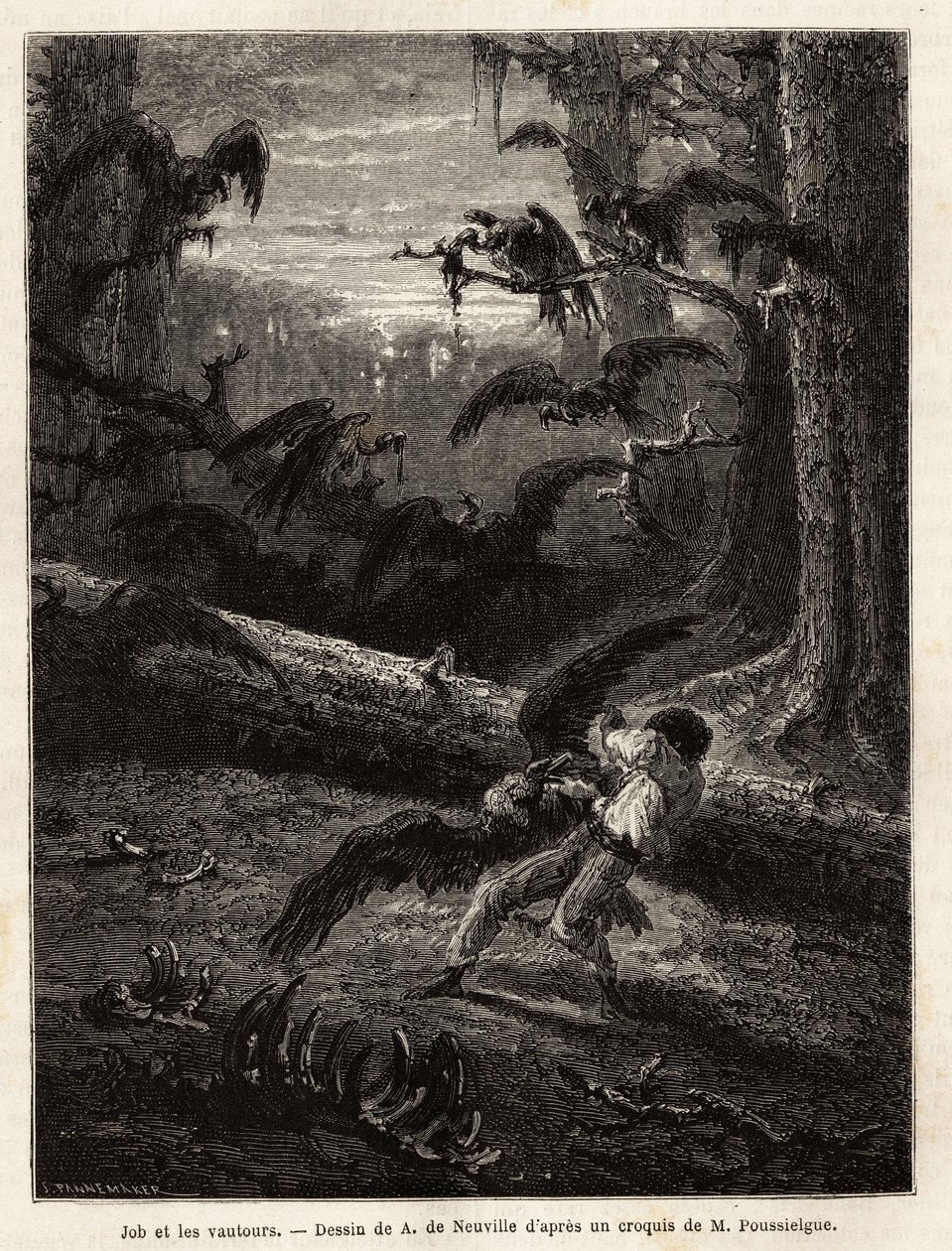 Job (compagnon de voyage du rédacteur), attaqué par des vautours. Gravure pour illustrer le récit Quatre mois en Floride, par M. Pousselgue, en 1851-1852, publié dans « le tour du monde », sous la direction d
