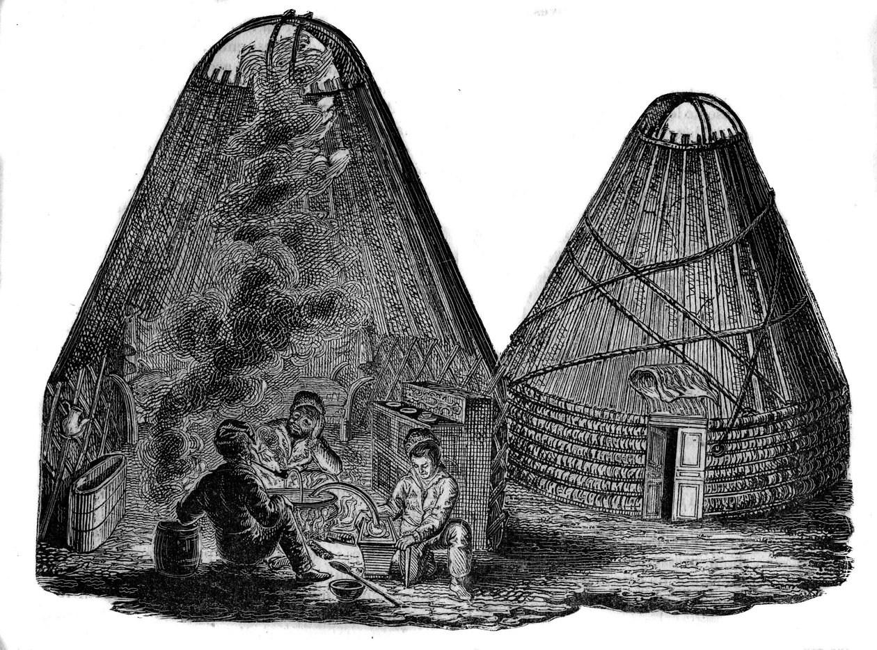 Kalmouks (Mongols occidentaux) devant leur tente. - Unknown artist