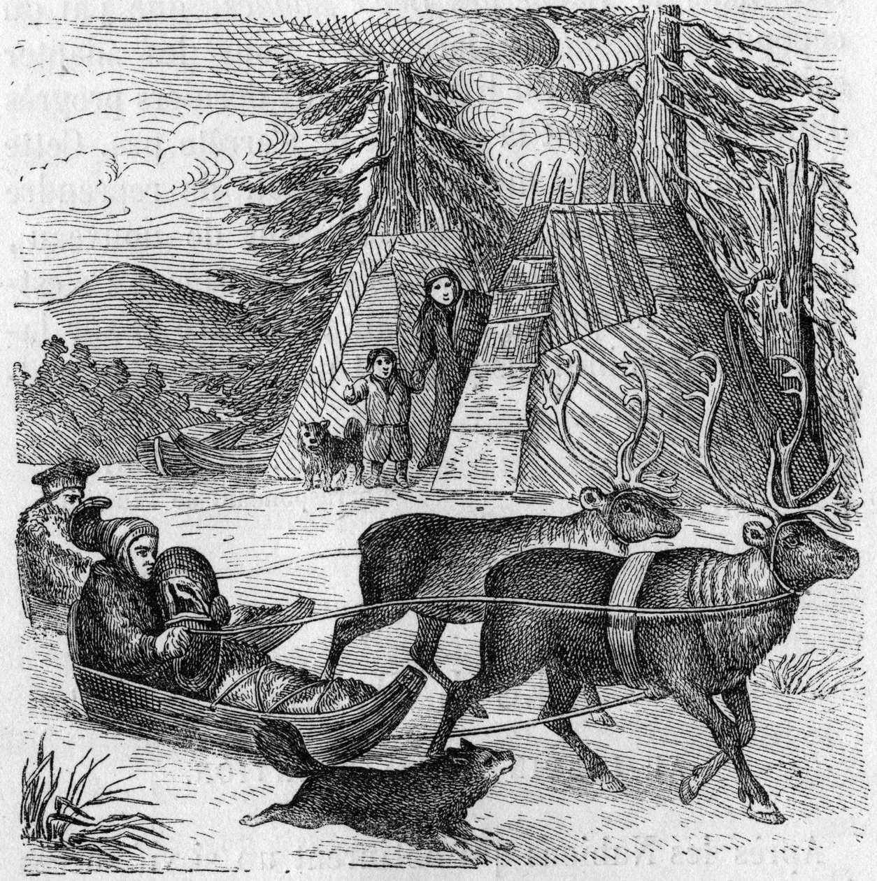 Lapons et leurs traîneaux. - Unknown artist