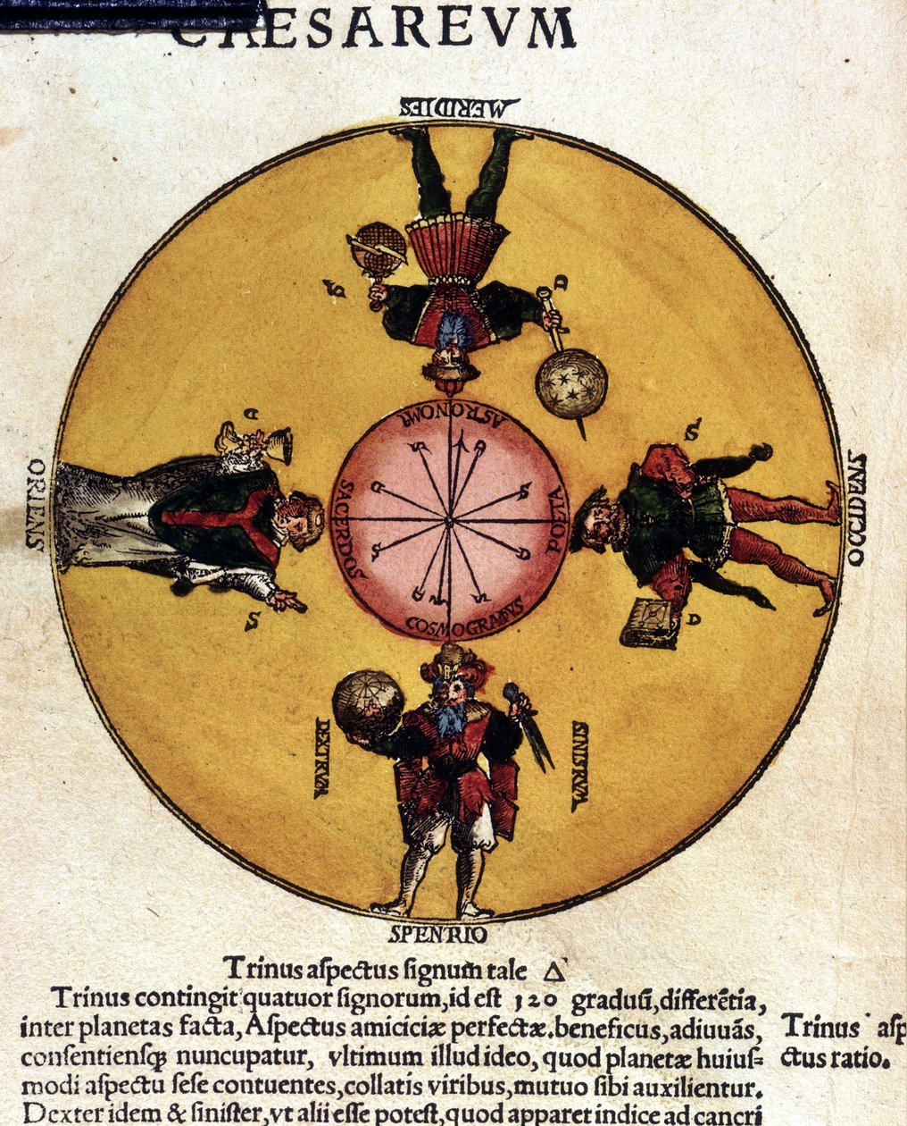 Les antipodes - dans « Astronomicon caesarum », traité du 16e siècle - Unknown artist
