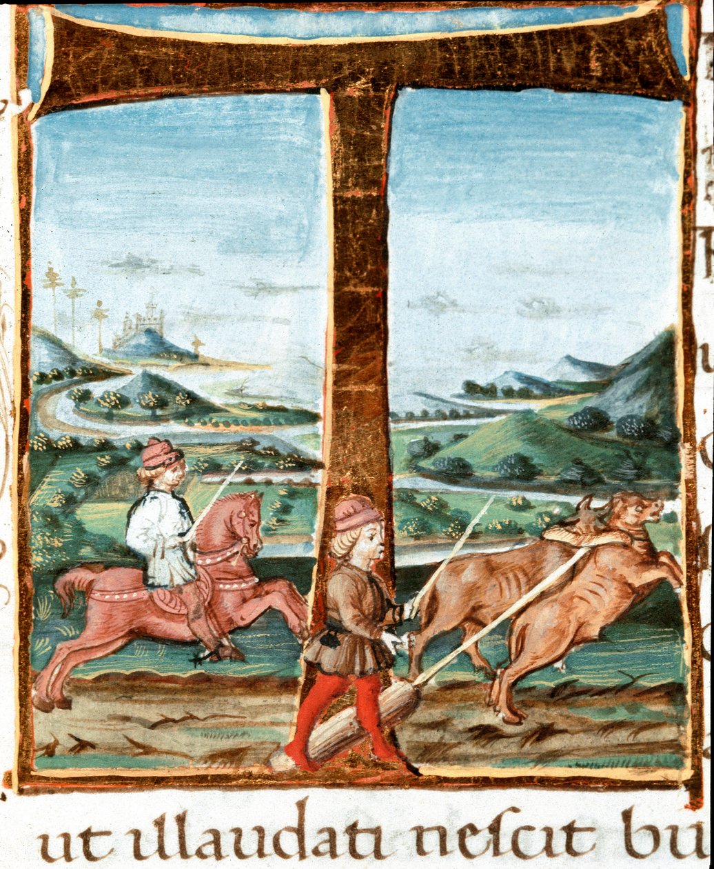 Lettrine T décorée d