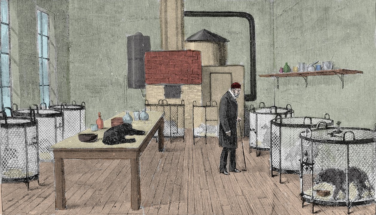 Louis Pasteur (1822-1895), chimiste et physicien français dans son laboratoire à Paris. - Unknown artist