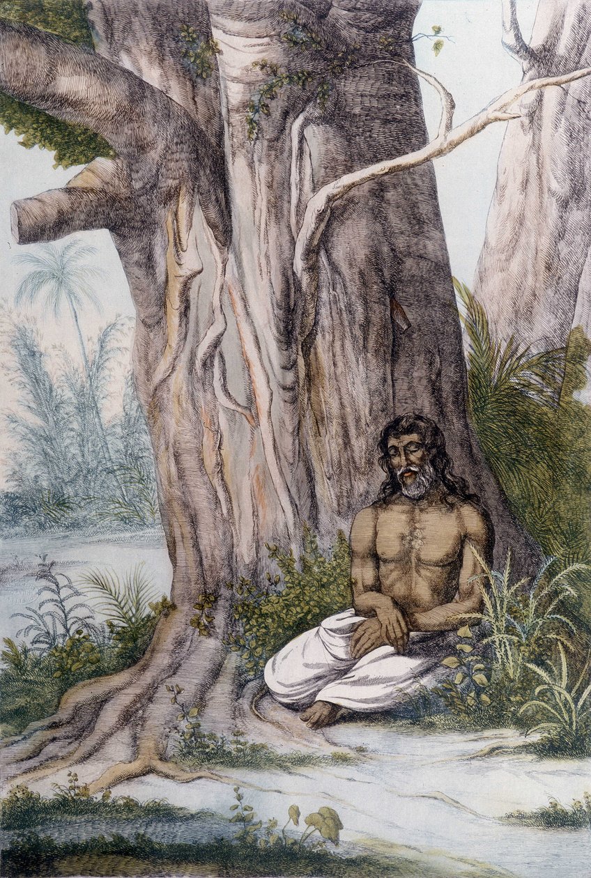 Méditation au pied d