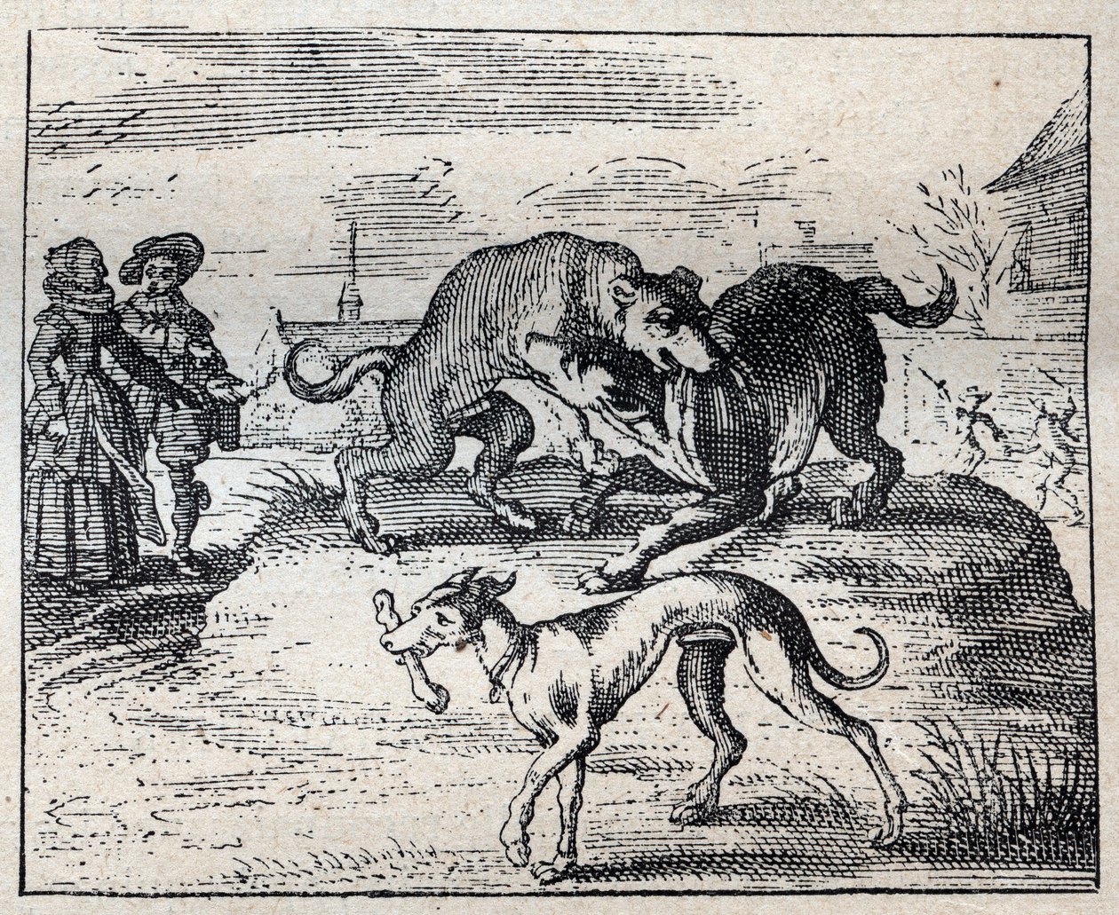Vieux proverbe anglais : deux chiens se battent pour un os et le troisième l
