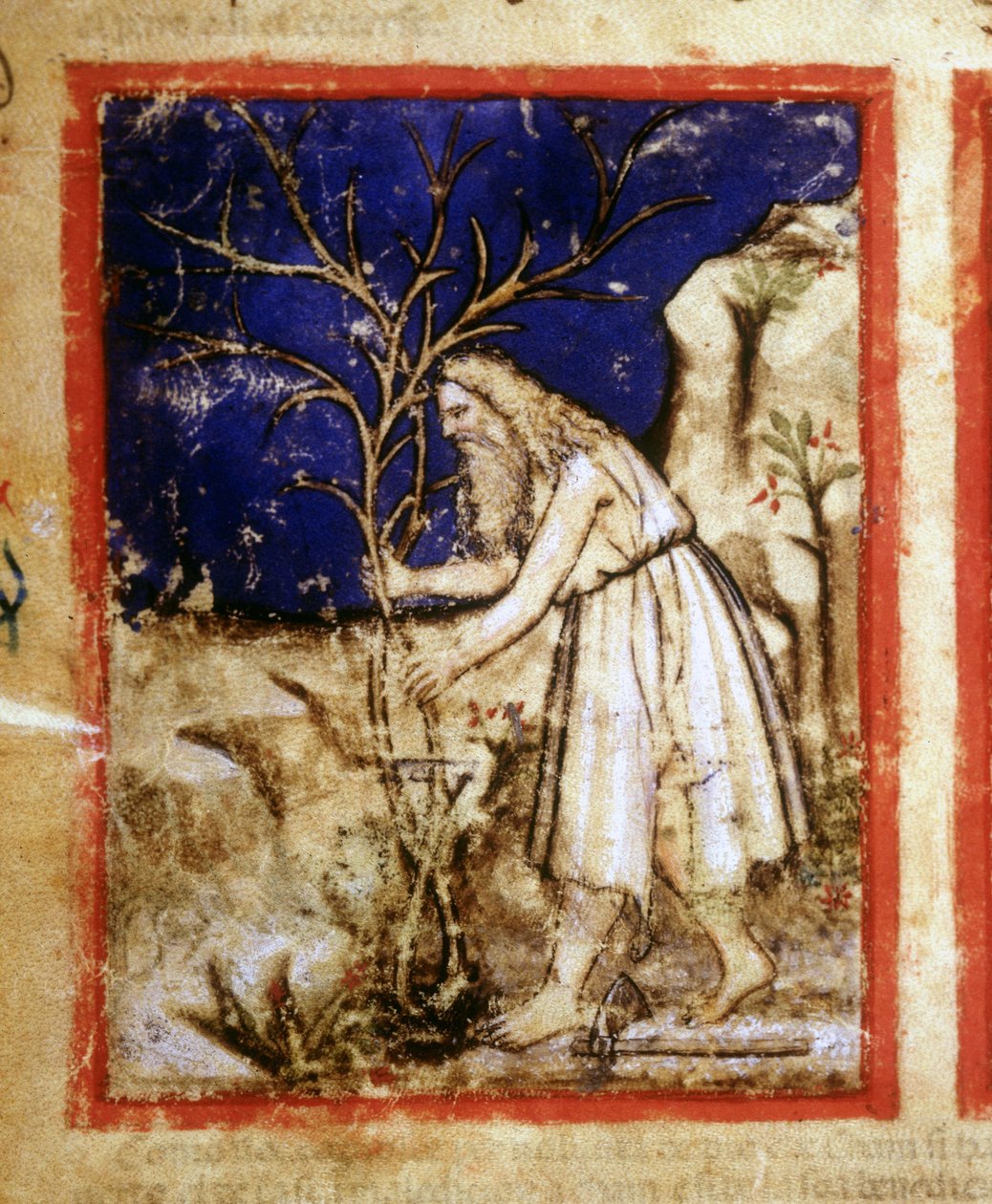 Page d