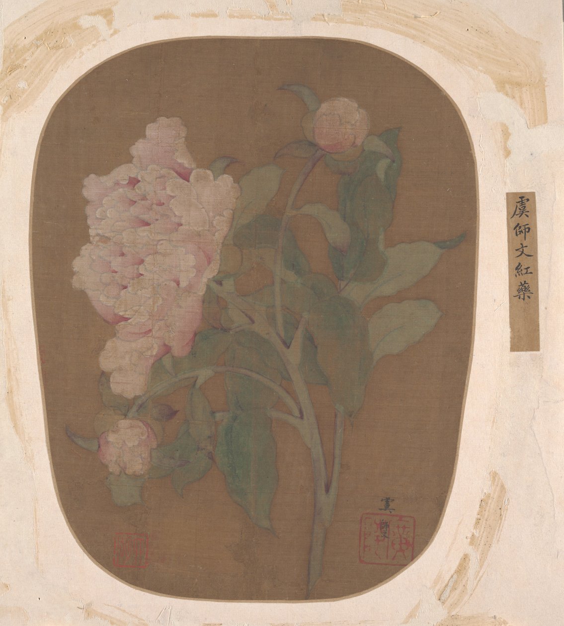Fleur de pivoine et feuilles (feuille d