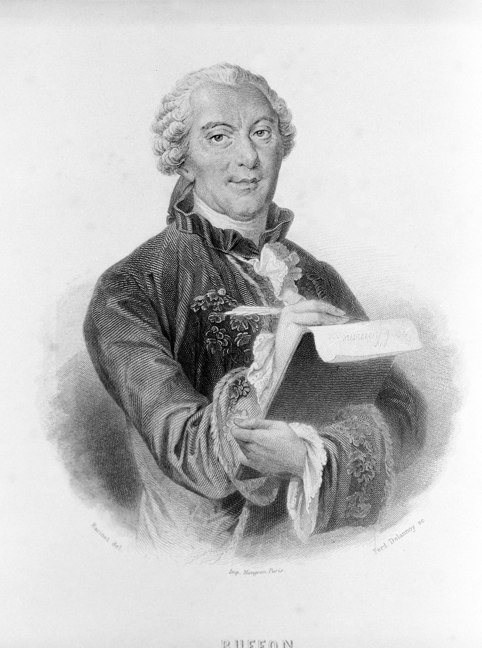 Portrait de Buffon (1707 - 1788), naturaliste et écrivain français - Unknown artist