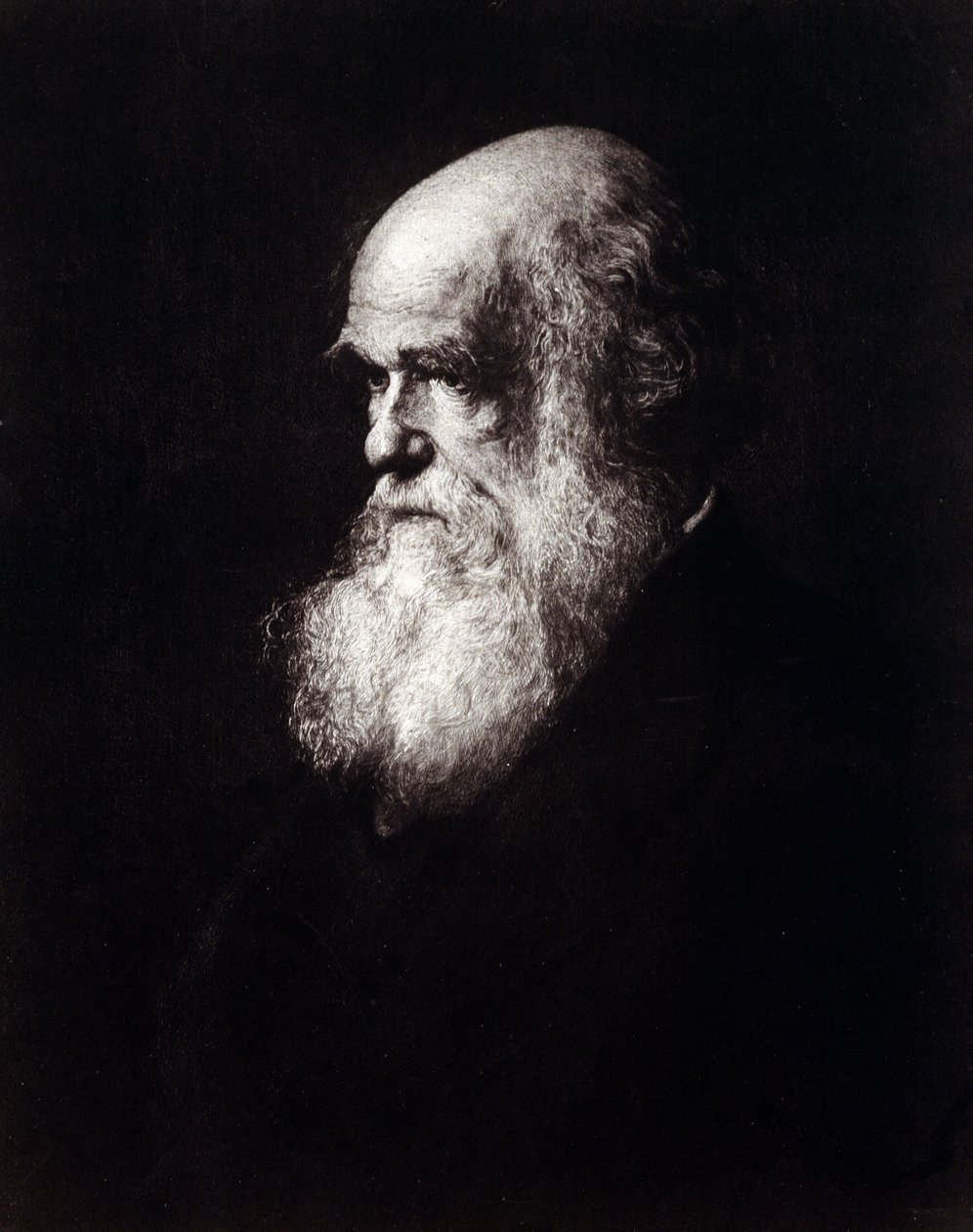 Portrait de Charles Robert Darwin (1809 - 1882) - Unknown artist