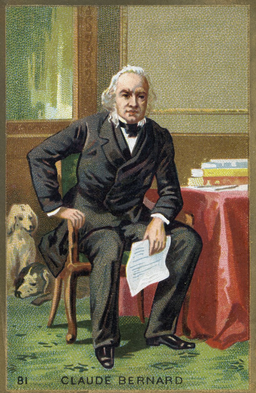 Portrait de Claude Bernard (1813-1878), physiologiste français - Unknown artist
