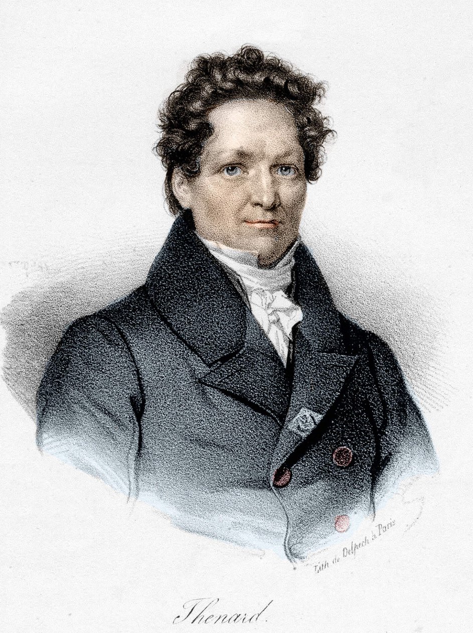 Portrait de Louis Jacques Thénard (1777-1857), chimiste français - Unknown artist