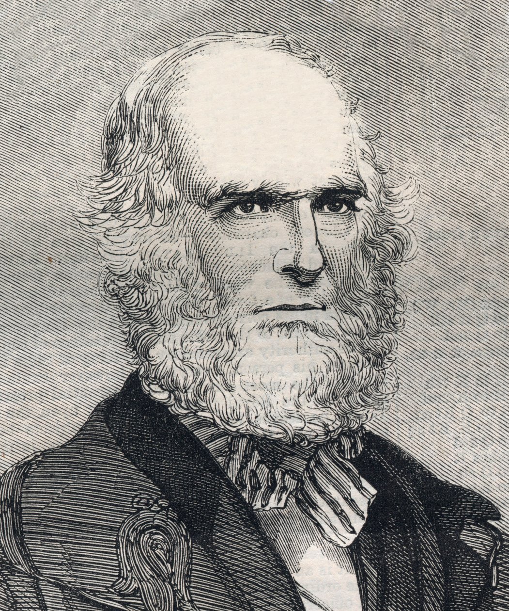 Portrait de William Cullen Bryant (1794-1878), poète américain. Gravure dans « The Illustrated London News » du 23 janvier 1858. - Unknown artist