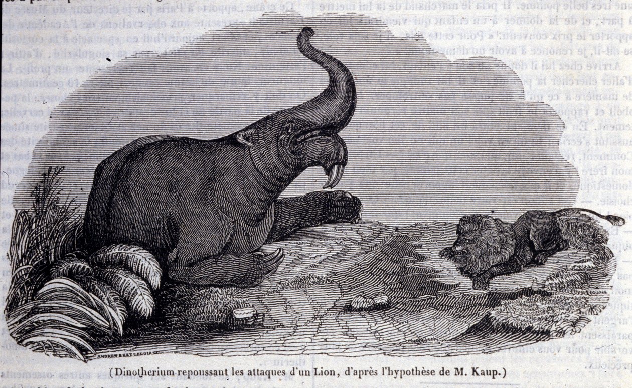 Préhistoire : représentation d