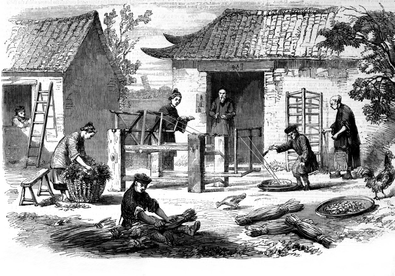 Production de la soie en Chine et les différentes étapes de fabrication - Unknown artist