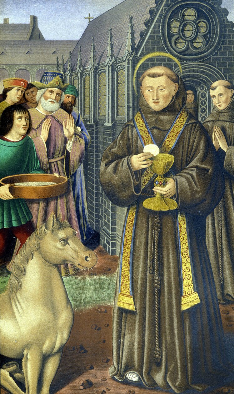 Saint Antoine de Padoue - d